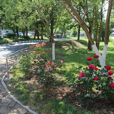 Hotel Sea Horse Lozenec