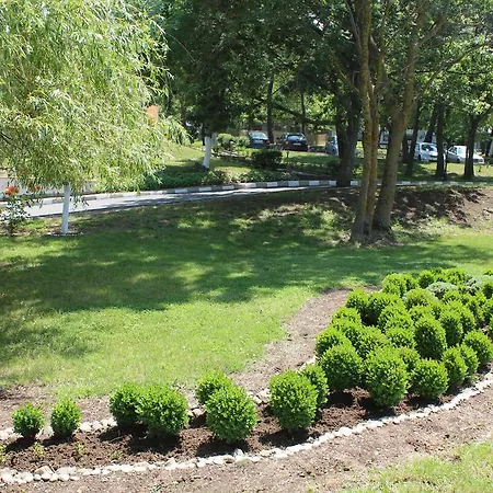 Sea Horse 洛泽内茨