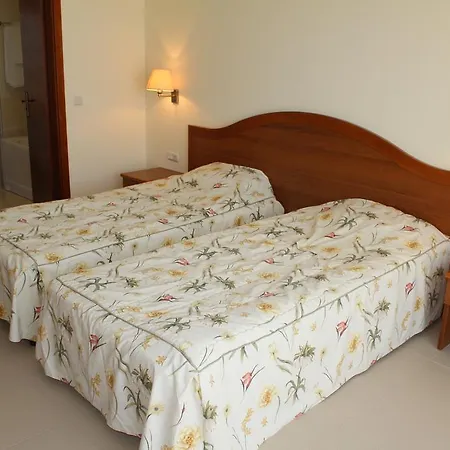 Sea Horse 洛泽内茨