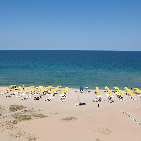 Sea Horse 洛泽内茨